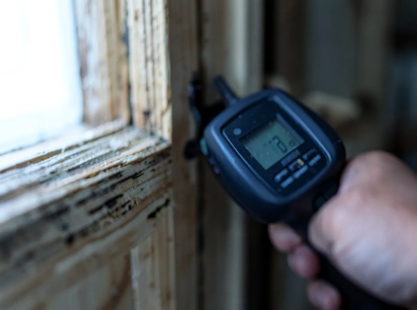 Moisture Inspection And Documentation in Ravenswood, WV